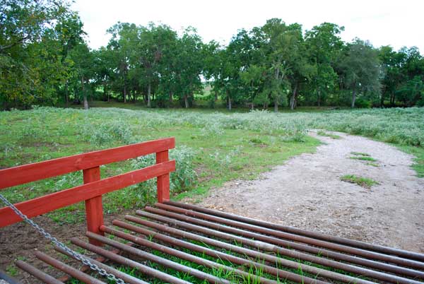 DSC_0039 DSC_0039