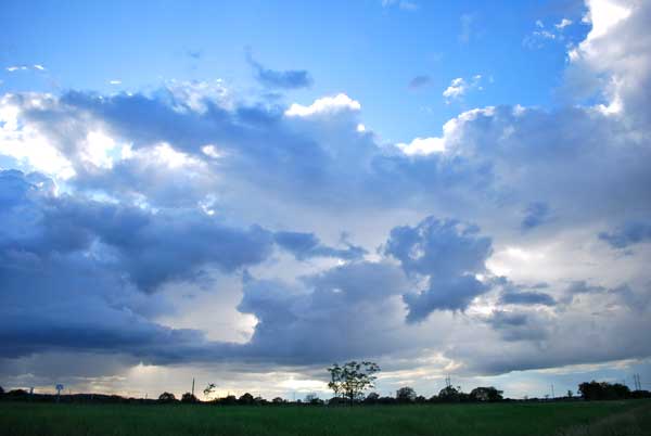DSC_0069 DSC_0069