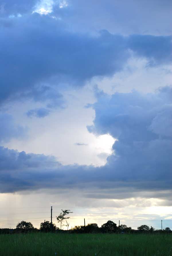 DSC_0080 DSC_0080