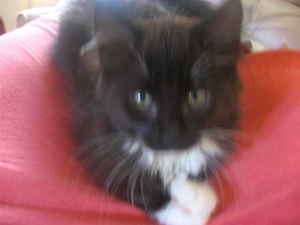 IMG_2860 IMG_2860